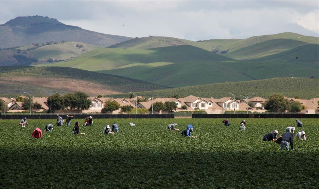 Santa Barbara Farms, LLC located in the agriculturally rich Lompoc Valley of Santa Barbara County, ideal for vegetable and melon farming